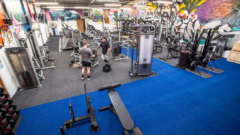 Official Hammer Strength Gym - Training Facility UK